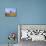 Windmills Along the Canal in Kinderdijk, Netherlands-Keren Su-Photographic Print displayed on a wall