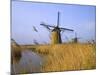 Windmills Along the Canal in Kinderdijk, Netherlands-Keren Su-Mounted Photographic Print