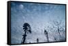 Windmills and clouds at dusk, Las Cruces, New Mexico, USA-Scott T. Smith-Framed Stretched Canvas