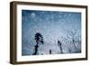 Windmills and clouds at dusk, Las Cruces, New Mexico, USA-Scott T. Smith-Framed Photographic Print