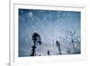 Windmills and clouds at dusk, Las Cruces, New Mexico, USA-Scott T. Smith-Framed Photographic Print