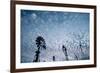 Windmills and clouds at dusk, Las Cruces, New Mexico, USA-Scott T. Smith-Framed Photographic Print