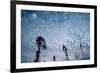 Windmills and clouds at dusk, Las Cruces, New Mexico, USA-Scott T. Smith-Framed Photographic Print