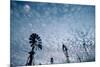 Windmills and clouds at dusk, Las Cruces, New Mexico, USA-Scott T. Smith-Mounted Photographic Print