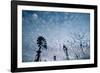 Windmills and clouds at dusk, Las Cruces, New Mexico, USA-Scott T. Smith-Framed Photographic Print