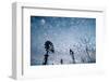 Windmills and clouds at dusk, Las Cruces, New Mexico, USA-Scott T. Smith-Framed Photographic Print