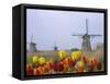 Windmills and Tulips Along the Canal in Kinderdijk, Netherlands-Keren Su-Framed Stretched Canvas