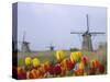 Windmills and Tulips Along the Canal in Kinderdijk, Netherlands-Keren Su-Stretched Canvas