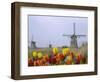 Windmills and Tulips Along the Canal in Kinderdijk, Netherlands-Keren Su-Framed Photographic Print