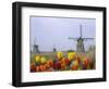 Windmills and Tulips Along the Canal in Kinderdijk, Netherlands-Keren Su-Framed Photographic Print