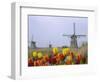 Windmills and Tulips Along the Canal in Kinderdijk, Netherlands-Keren Su-Framed Photographic Print