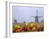 Windmills and Tulips Along the Canal in Kinderdijk, Netherlands-Keren Su-Framed Photographic Print