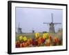 Windmills and Tulips Along the Canal in Kinderdijk, Netherlands-Keren Su-Framed Photographic Print