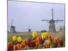 Windmills and Tulips Along the Canal in Kinderdijk, Netherlands-Keren Su-Mounted Photographic Print