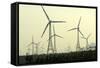 Windmills at Aralavaimozhi, Nagercoil, Tamil Nadu, India, Asia-Balan Madhavan-Framed Stretched Canvas