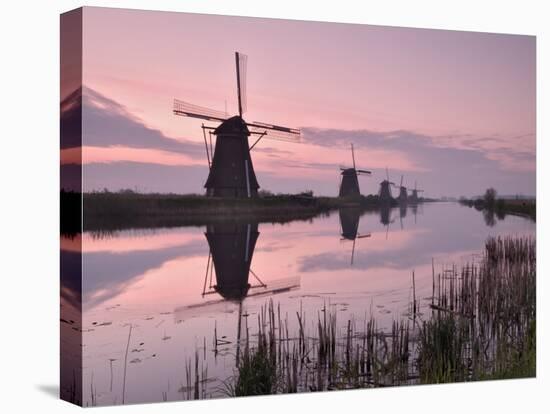 Windmills at Kinderdijk at Dawn, Near Rotterdam, Holland, the Netherlands-Gary Cook-Stretched Canvas