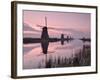 Windmills at Kinderdijk at Dawn, Near Rotterdam, Holland, the Netherlands-Gary Cook-Framed Photographic Print