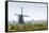 Windmills at Kinderdijk, the Netherlands-Colette2-Framed Stretched Canvas