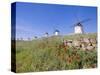 Windmills in Consuegra, Castilla La Mancha, Spain-Gavin Hellier-Stretched Canvas