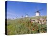 Windmills in Consuegra, Castilla La Mancha, Spain-Gavin Hellier-Stretched Canvas