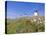 Windmills in Consuegra, Castilla La Mancha, Spain-Gavin Hellier-Stretched Canvas