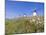 Windmills in Consuegra, Castilla La Mancha, Spain-Gavin Hellier-Mounted Photographic Print