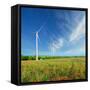 Windmills on a Field in the Early Spring Makovm-Krivosheev Vitaly-Framed Stretched Canvas