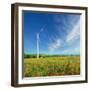 Windmills on a Field in the Early Spring Makovm-Krivosheev Vitaly-Framed Photographic Print