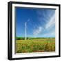 Windmills on a Field in the Early Spring Makovm-Krivosheev Vitaly-Framed Photographic Print