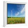 Windmills on a Field in the Early Spring Makovm-Krivosheev Vitaly-Framed Photographic Print