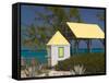 Windmills Plantation Beach House, Salt Cay Island, Turks and Caicos, Caribbean-Walter Bibikow-Framed Stretched Canvas