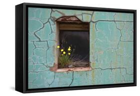 Window 3-Wayne Bradbury-Framed Stretched Canvas