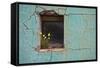Window 3-Wayne Bradbury-Framed Stretched Canvas