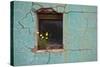 Window 3-Wayne Bradbury-Stretched Canvas