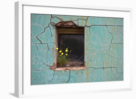 Window 3-Wayne Bradbury-Framed Photographic Print