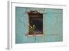 Window 3-Wayne Bradbury-Framed Photographic Print