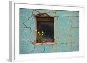 Window 3-Wayne Bradbury-Framed Photographic Print