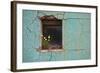 Window 3-Wayne Bradbury-Framed Photographic Print