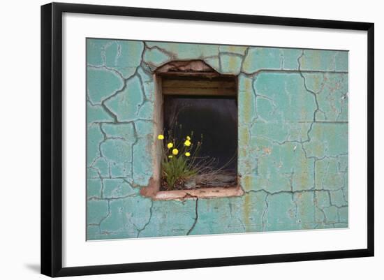 Window 3-Wayne Bradbury-Framed Photographic Print