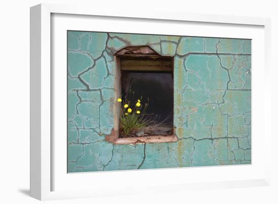 Window 3-Wayne Bradbury-Framed Photographic Print