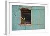 Window 3-Wayne Bradbury-Framed Photographic Print