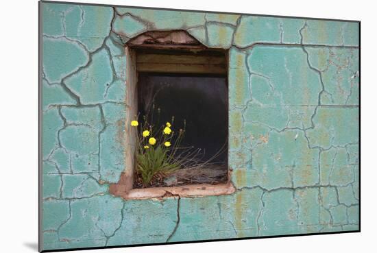 Window 3-Wayne Bradbury-Mounted Photographic Print