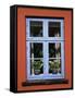 Window, Aeroskobing, Aero, Denmark, Scandinavia-Ken Gillham-Framed Stretched Canvas