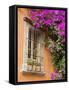 Window and Flower Pots, San Miguel De Allende, Guanajuato State, Mexico-Julie Eggers-Framed Stretched Canvas