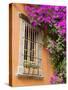 Window and Flower Pots, San Miguel De Allende, Guanajuato State, Mexico-Julie Eggers-Stretched Canvas