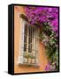 Window and Flower Pots, San Miguel De Allende, Guanajuato State, Mexico-Julie Eggers-Framed Stretched Canvas