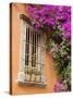 Window and Flower Pots, San Miguel De Allende, Guanajuato State, Mexico-Julie Eggers-Stretched Canvas