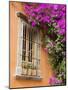 Window and Flower Pots, San Miguel De Allende, Guanajuato State, Mexico-Julie Eggers-Mounted Photographic Print