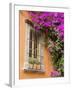 Window and Flower Pots, San Miguel De Allende, Guanajuato State, Mexico-Julie Eggers-Framed Photographic Print