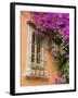 Window and Flower Pots, San Miguel De Allende, Guanajuato State, Mexico-Julie Eggers-Framed Photographic Print